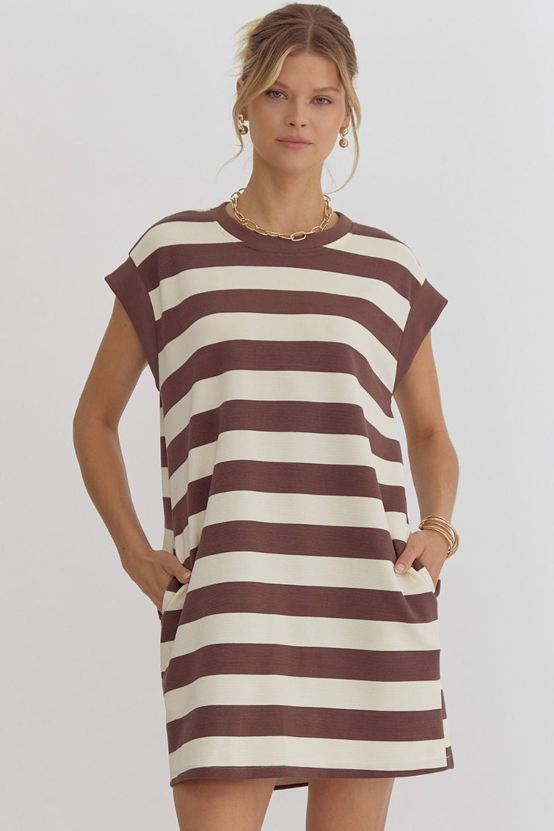 Stripe Knit Mini Dress